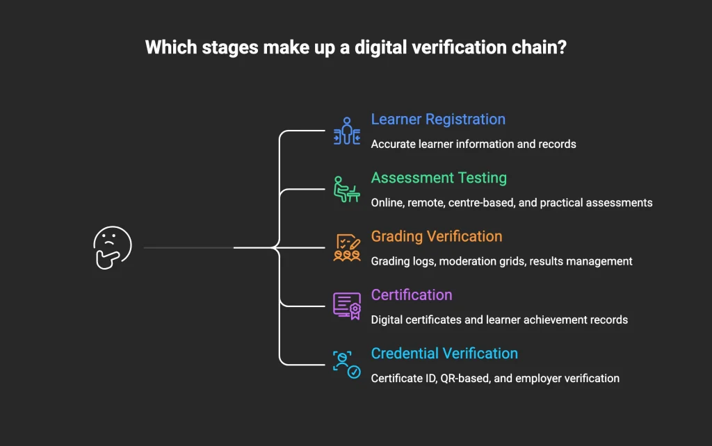Diagram titled “Which stages make up a digital verification chain?” showing five stages branching from a thinking-face icon: Learner Registration, Assessment Testing, Grading Verification, Certification, and Credential Verification.